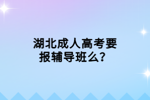 湖北成人高考要報輔導(dǎo)班么？