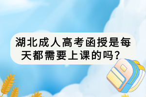 湖北成人高考函授是每天都需要上課的嗎？