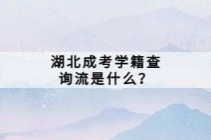 湖北成考學(xué)籍查詢流是什么？