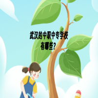 武漢中職中專學(xué)校有哪些？