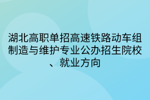 湖北高職單招高速鐵路動(dòng)車組制造與維護(hù)專業(yè)公辦招生院校、就業(yè)方向