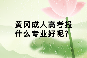 黃岡成人高考報什么專業(yè)好呢？