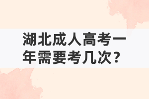 湖北成人高考一年需要考幾次？