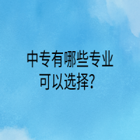 中專(zhuān)有哪些專(zhuān)業(yè)可以選擇？