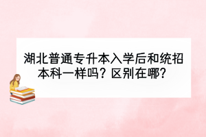 湖北普通專升本入學(xué)后和統(tǒng)招本科一樣嗎？區(qū)別在哪？