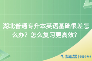 湖北普通專升本英語(yǔ)基礎(chǔ)很差怎么辦？怎么復(fù)習(xí)更高效？