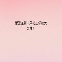 武漢東新電子技工學(xué)校怎么樣？