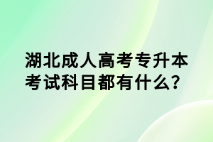 湖北成人高考專升本考試科目都有什么？