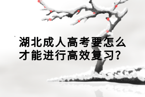 湖北成人高考要怎么才能進(jìn)行高效復(fù)習(xí)？