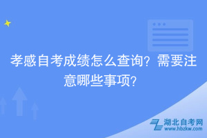 孝感自考成績怎么查詢？需要注意哪些事項？