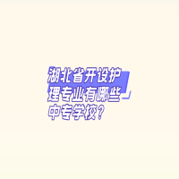 湖北省開設(shè)護理專業(yè)有哪些中專學(xué)校？