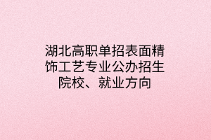 湖北高職單招表面精飾工藝專業(yè)公辦招生院校、就業(yè)方向