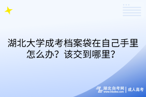 湖北大學(xué)成考檔案袋在自己手里怎么辦？該交到哪里？