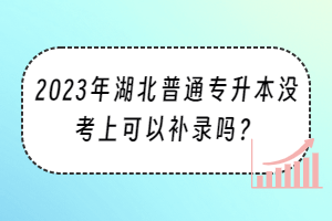2023年湖北普通專升本沒考上可以補錄嗎？