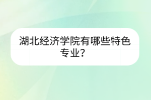 湖北經(jīng)濟(jì)學(xué)院有哪些特色專業(yè)？