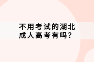 不用考試的湖北成人高考有嗎？