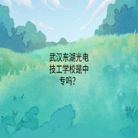 武漢東湖光電技工學(xué)校是中專嗎？