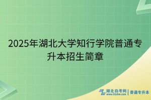 2025年湖北大學知行學院普通專升本招生簡章