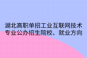 湖北高職單招工業(yè)互聯(lián)網(wǎng)技術(shù)專業(yè)公辦招生院校、就業(yè)方向