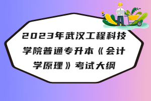 ?2023年武漢工程科技學院普通專升本《會計學原理》考試大綱