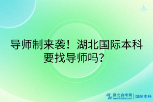 導(dǎo)師制來襲！湖北國際本科要找導(dǎo)師嗎？