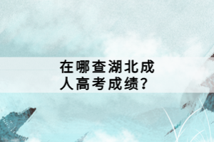 在哪查湖北成人高考成績？