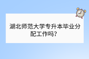 湖北師范大學(xué)專升本畢業(yè)分配工作嗎？