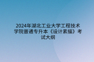 2024年湖北工業(yè)大學(xué)工程技術(shù)學(xué)院普通專升本《設(shè)計(jì)素描》考試大綱