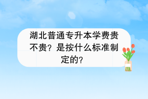 湖北普通專升本學(xué)費貴不貴？是按什么標(biāo)準(zhǔn)制定的？