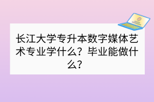 長(zhǎng)江大學(xué)專升本數(shù)字媒體藝術(shù)專業(yè)學(xué)什么？畢業(yè)能做什么？