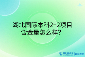 湖北國(guó)際本科2+2項(xiàng)目含金量咋樣？