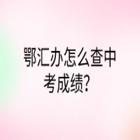 鄂匯辦怎么查中考成績(jī)？