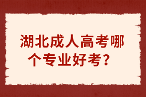 湖北成人高考哪個專業(yè)好考？