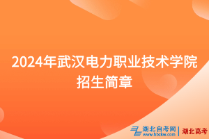 2024年武漢電力職業(yè)技術(shù)學(xué)院招生簡(jiǎn)章