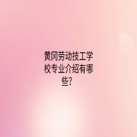 黃岡勞動技工學校專業(yè)介紹有哪些？
