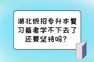 湖北統(tǒng)招專升本復(fù)習備考學不下去了還要堅持嗎？