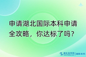 申請湖北國際本科申請全攻略，你達標了嗎？