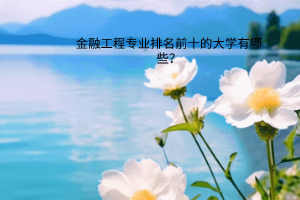 金融工程專(zhuān)業(yè)排名前十的大學(xué)有哪些？