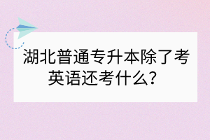 湖北普通專升本除了考英語還考什么？