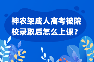 神農(nóng)架成人高考被院校錄取后怎么上課？