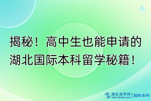 揭秘！高中生也能申請的湖北國際本科留學秘籍！
