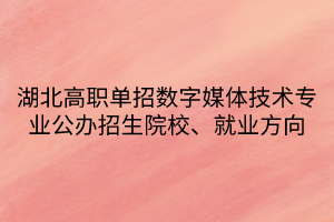 湖北高職單招數(shù)字媒體技術(shù)專業(yè)公辦招生院校、就業(yè)方向