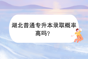 湖北普通專升本錄取概率高嗎？