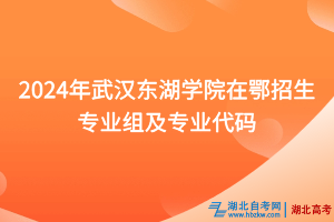 2024年武漢東湖學院在鄂招生專業(yè)組及專業(yè)代碼