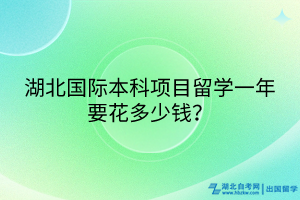 湖北國際本科項目留學(xué)一年要花多少錢？