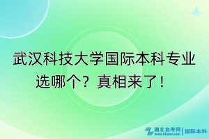 武漢科技大學(xué)國際本科專業(yè)選哪個(gè)？真相來了！