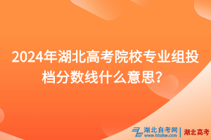 2024年湖北高考院校專業(yè)組投檔分?jǐn)?shù)線什么意思？