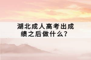 湖北成人高考出成績(jī)之后做什么？