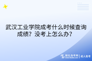 武漢工業(yè)學院成考什么時候查詢成績？沒考上怎么辦？