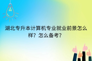 湖北專升本計(jì)算機(jī)專業(yè)就業(yè)前景怎么樣？怎么備考？